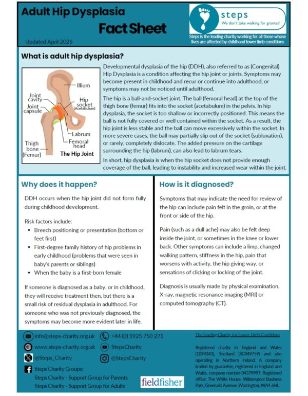 Adult Hip Factsheet